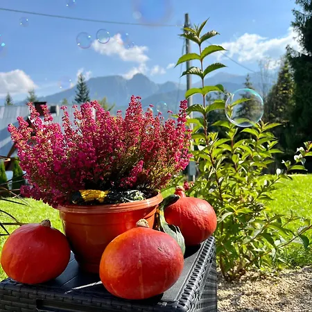 Bystry Holiday home Koscielisko