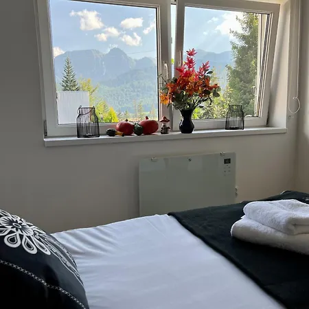 Bystry Hébergement de vacances *