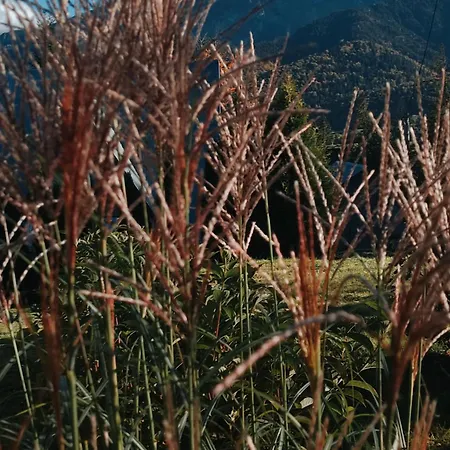 Holiday home Bystry *