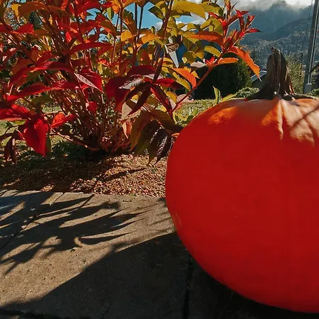 Bystry * Koscielisko