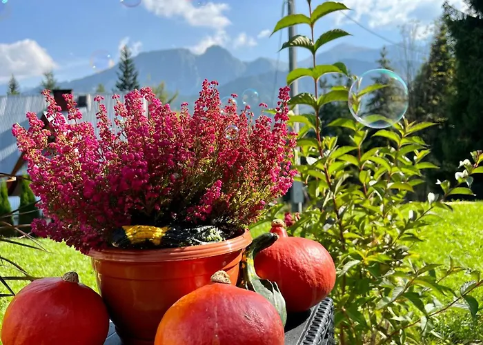 Bystry 度假居 考斯赛力克