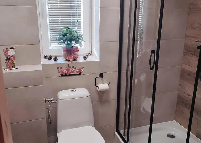 Bystry 考斯赛力克