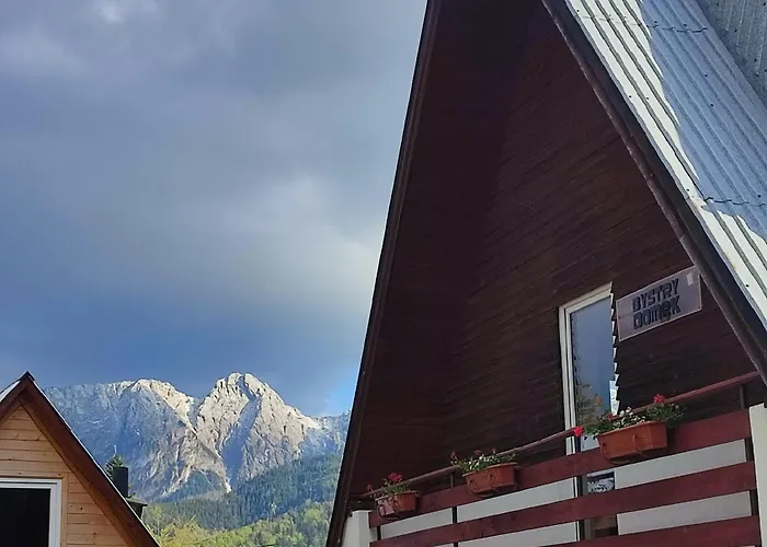 Bystry 考斯赛力克